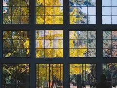 -武汉大学老图书馆