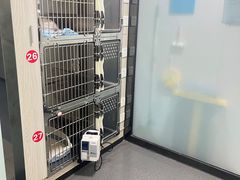 -半岛宠物医院24小时(科华中路店)