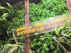 -彩虹之约•淮扬家宴(亚运村店)