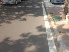 android_upload_pic-八大关景区