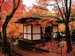 -常寂光寺