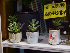 -杭州街角花屋花店(闻堰店)
