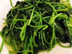 蒜蓉炒番薯苗-荔城生鲜盛宴(番禺旗舰店)