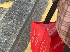 -百家春好德来姜母鸭