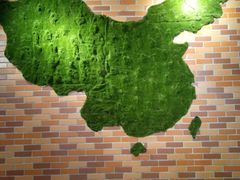 -金众记猪肚鸡(唐家店)