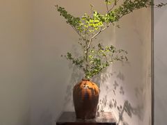 -稍可轩博物馆餐厅