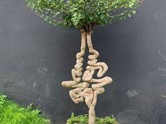 -成都许燎源现代设计艺术博物馆