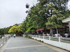 -海珠湖公园