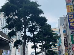 -乐天免税店(明洞店)
