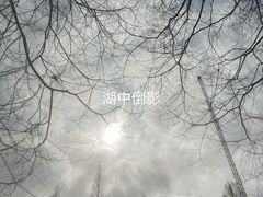 -上海共青森林公园