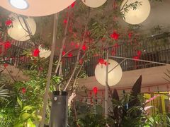 -馋嘴猫北京食堂·烤鸭·宵夜(亚运村店)
