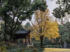 -汇龙潭