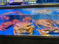 -盒马鲜生(大成店)