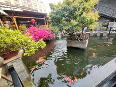 -猪肉婆私房菜(容桂总店)