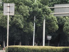 -东湖落雁景区