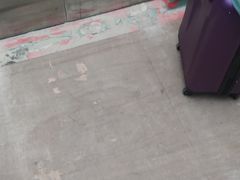 -航廷酒店(深圳宝安机场T3航站楼后瑞地铁站店)