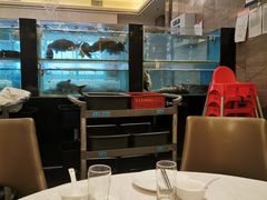 大堂-大铁勺新津菜(东丽阳光新业广场店)