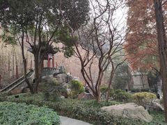 -西安曲江寒窑遗址公园
