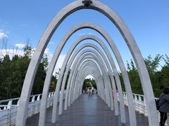 -大兴滨河森林公园