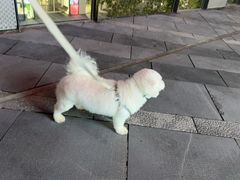 -萌兽医馆·眼科·异宠专科(三里屯店)