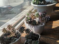 -泰来风味馆(桂林街店)