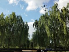-丁香湖公园