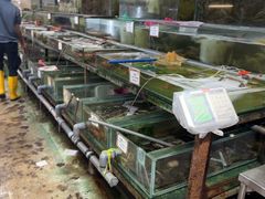 -双天海鲜楼 · 43年老字号