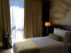 -国家会议中心大酒店