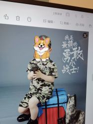 点击看大图 -倾城宝贝儿童摄影(广州天河店)