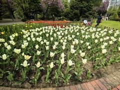 -北海道厅旧本厅舍(旧本庁舎)