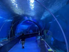 -多彩贵州城极地海洋世界