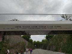 -上海山野camping·户外天幕烧烤·团建拓展营地
