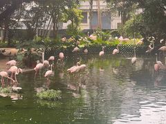 -九龙公园