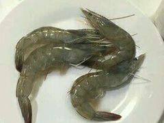 -悦橙烤肉海鲜自助(中央大街店)