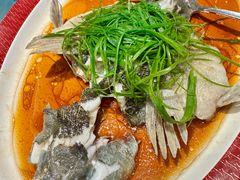 -圆苑(静安寺店)