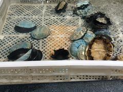 -盒马鲜生(曜一城店)