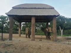 -清迈夜间动物园