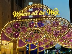 -乐天免税店(明洞店)