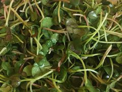 -山东八大碗山东老字号