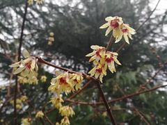 -白塘生态植物园