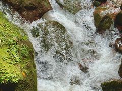 -赤水丹霞旅游区·佛光岩