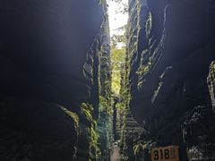 -梭布垭石林景区