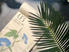 -自由生长植物工作室(深港花卉中心店)