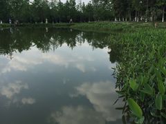 -白鹭湾湿地公园