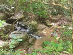 -火炉山森林公园