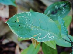 -七仙岭温泉国家森林公园