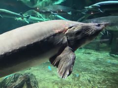 -华夏文旅海洋公园