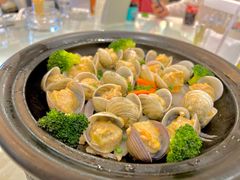 蛤蜊肉丸-温岭人家(红花北路店)