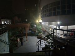 -同济大排档