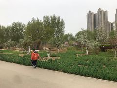 -燕郊植物园